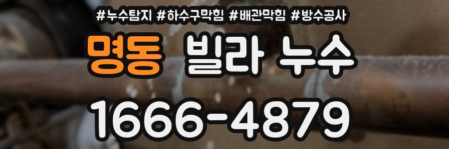 명동 빌라 누수