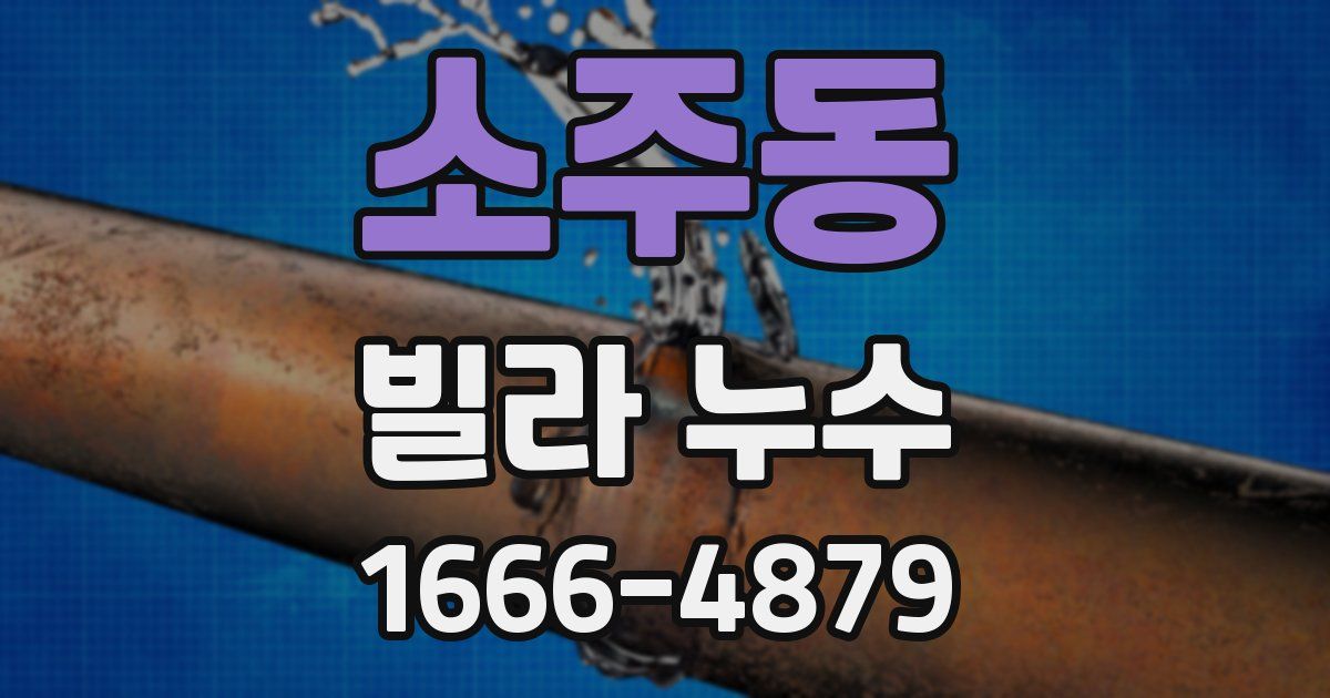 소주동 빌라 누수