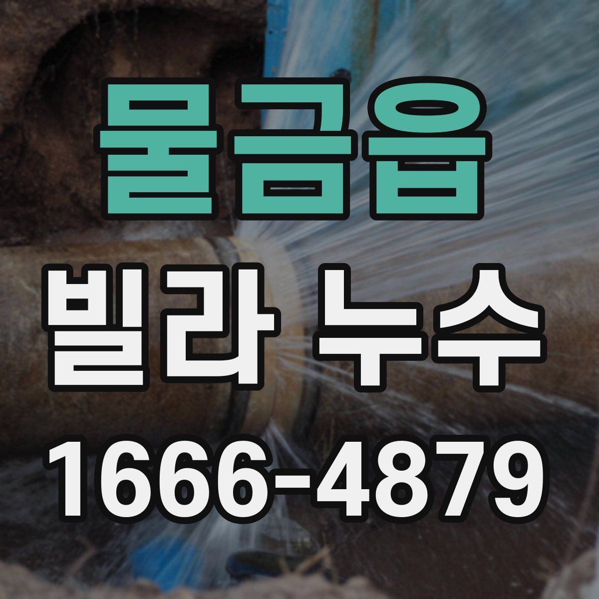 물금읍 빌라 누수