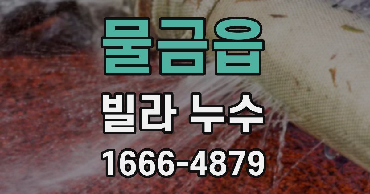 물금읍 빌라 누수