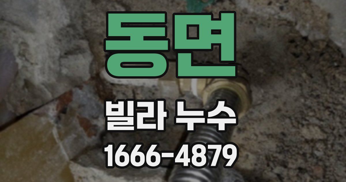 동면 빌라 누수