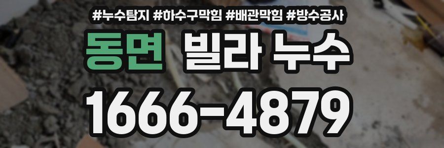 동면 빌라 누수