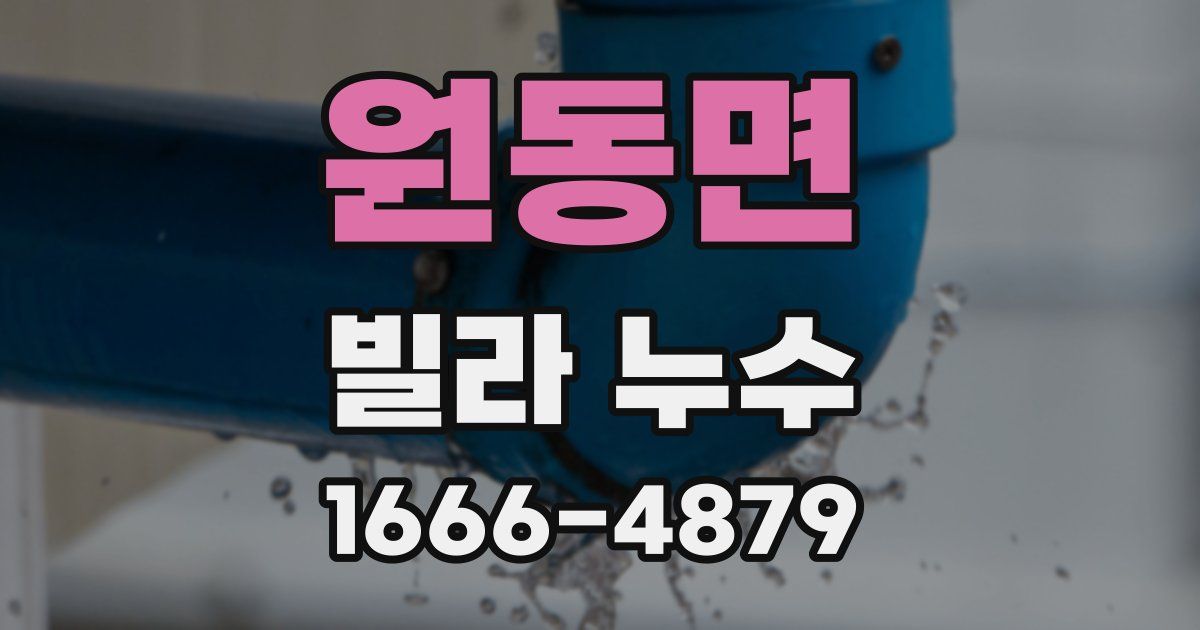 원동면 빌라 누수