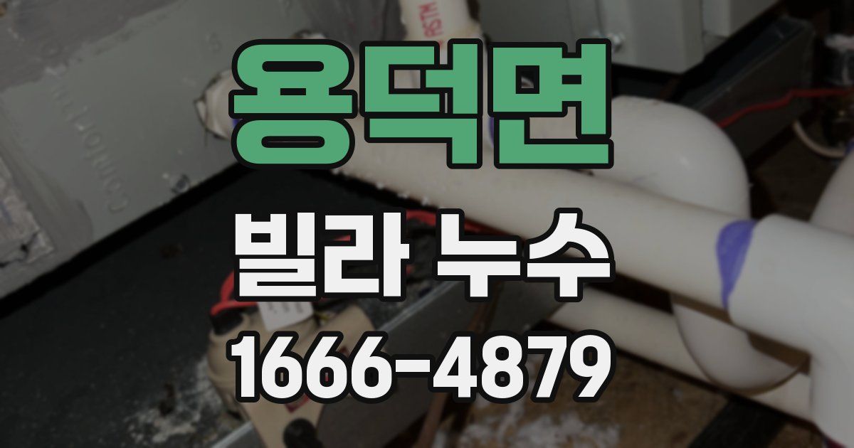 용덕면 빌라 누수