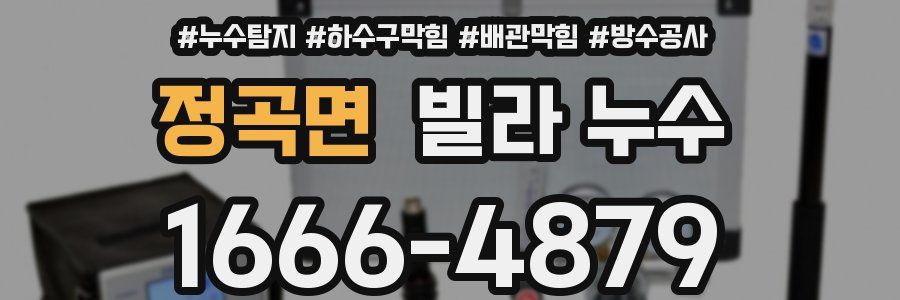 정곡면 빌라 누수