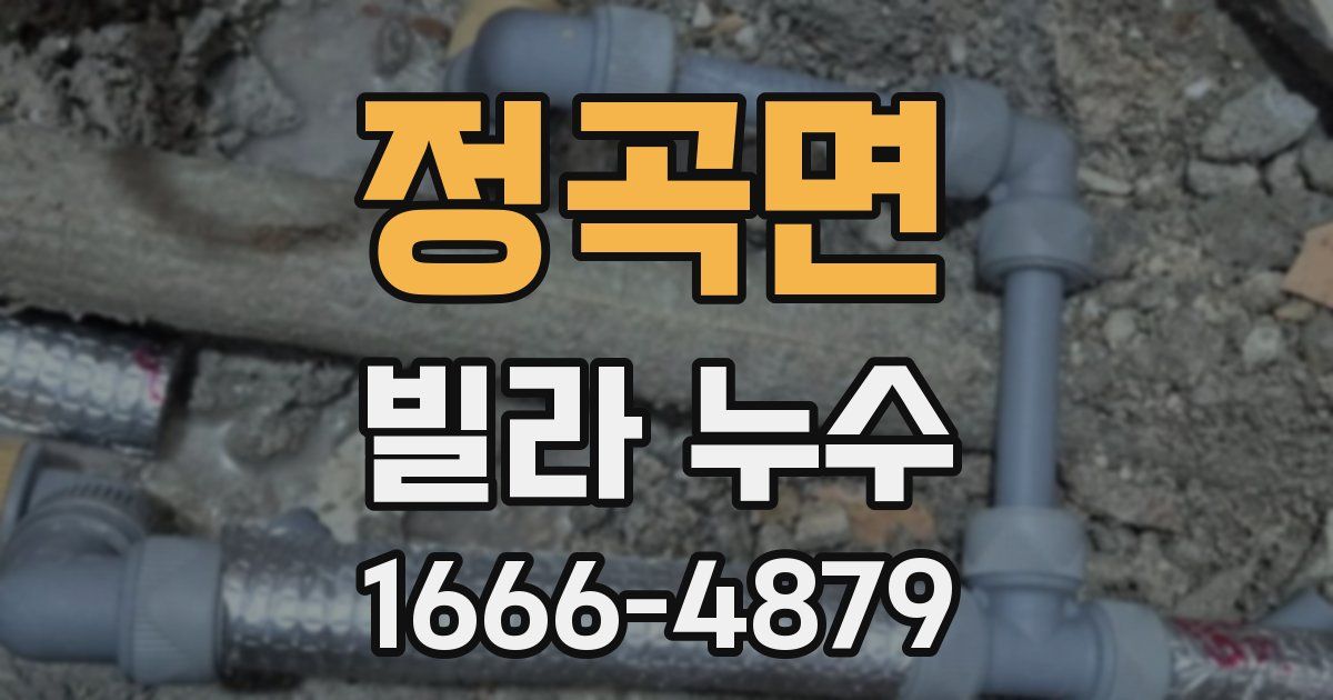 정곡면 빌라 누수