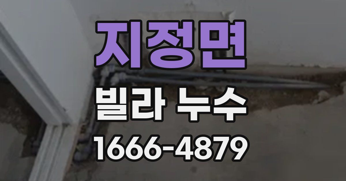 지정면 빌라 누수