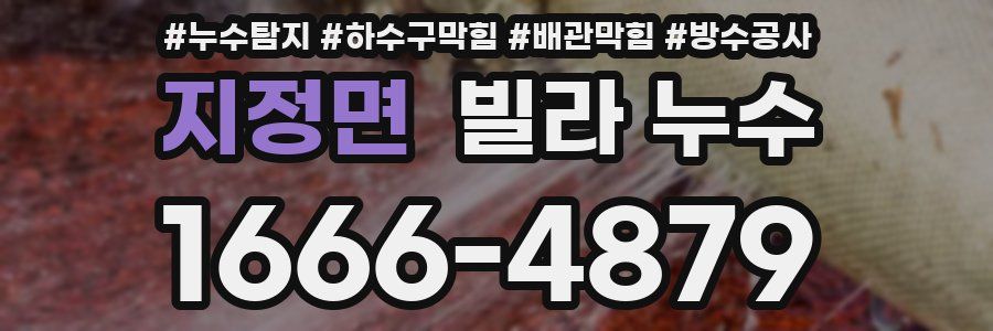 지정면 빌라 누수