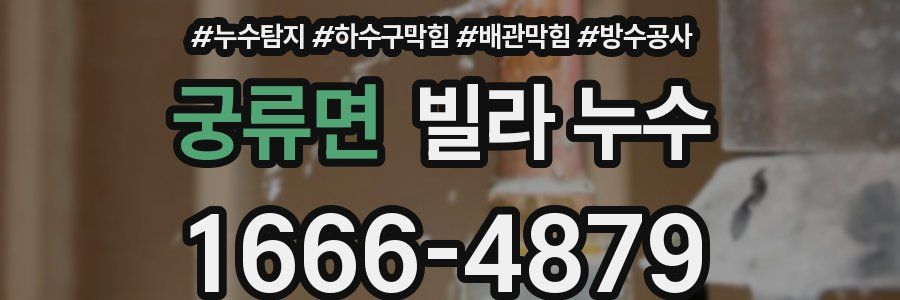 궁류면 빌라 누수