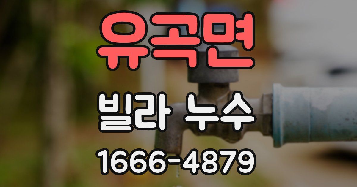 유곡면 빌라 누수