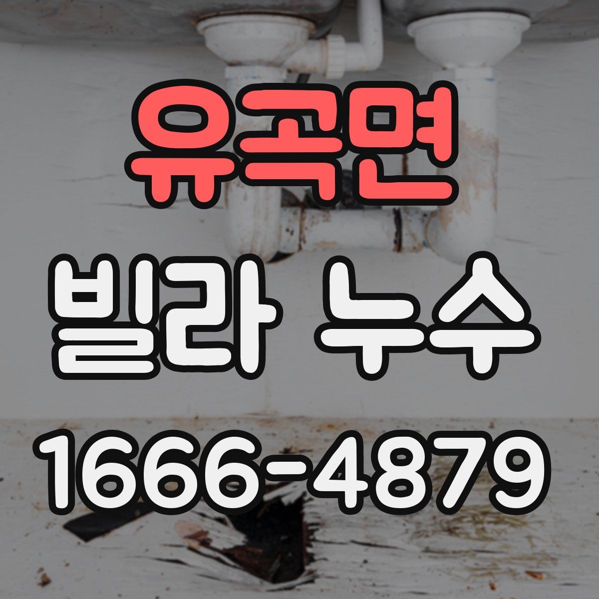 유곡면 빌라 누수