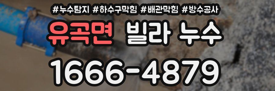 유곡면 빌라 누수