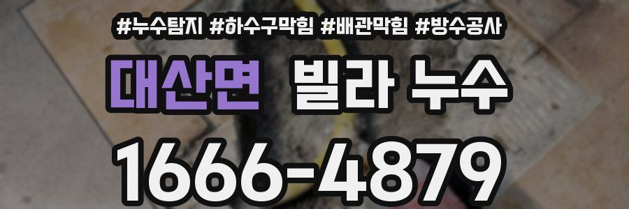 대산면 빌라 누수