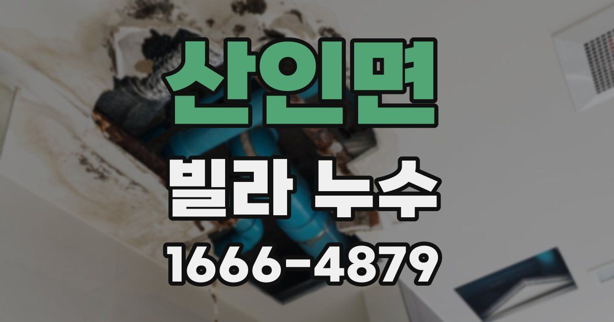 산인면 빌라 누수