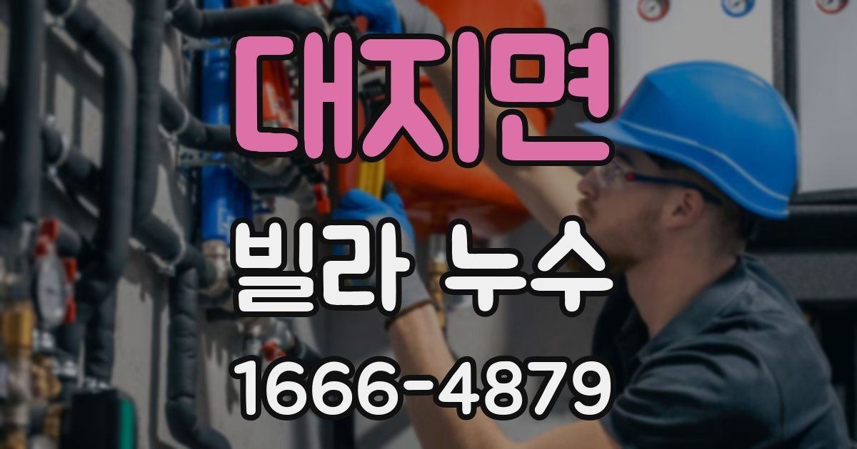 대지면 빌라 누수