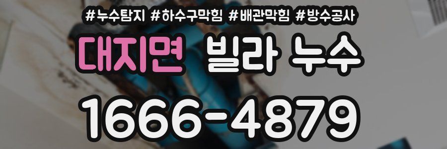 대지면 빌라 누수