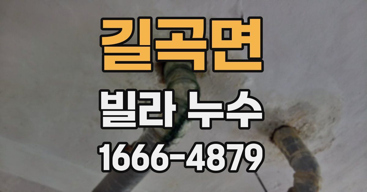 길곡면 빌라 누수