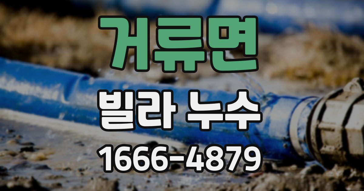 거류면 빌라 누수