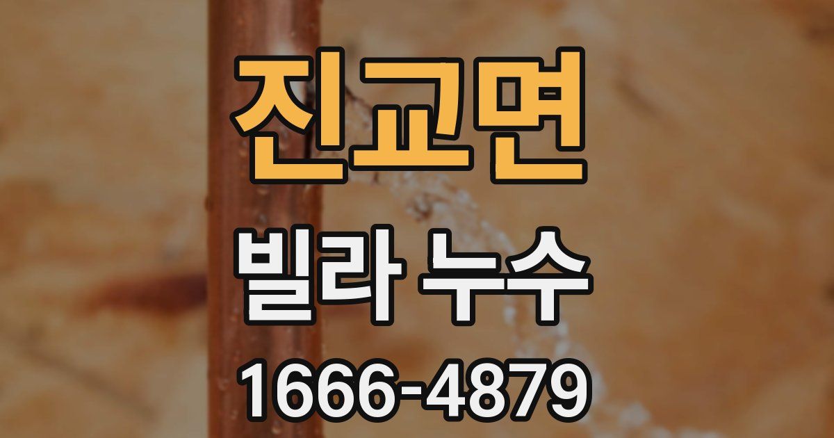 진교면 빌라 누수