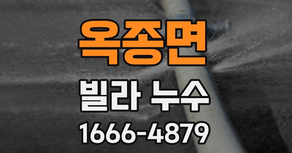 옥종면 빌라 누수