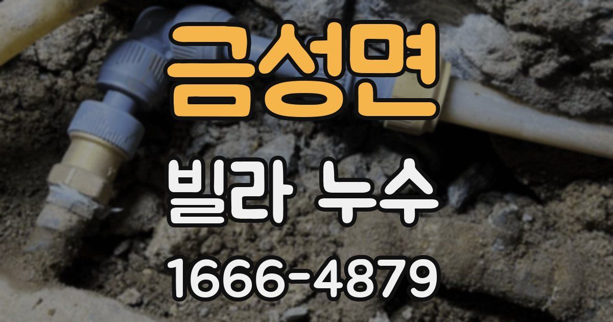 금성면 빌라 누수