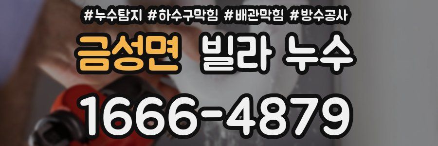 금성면 빌라 누수
