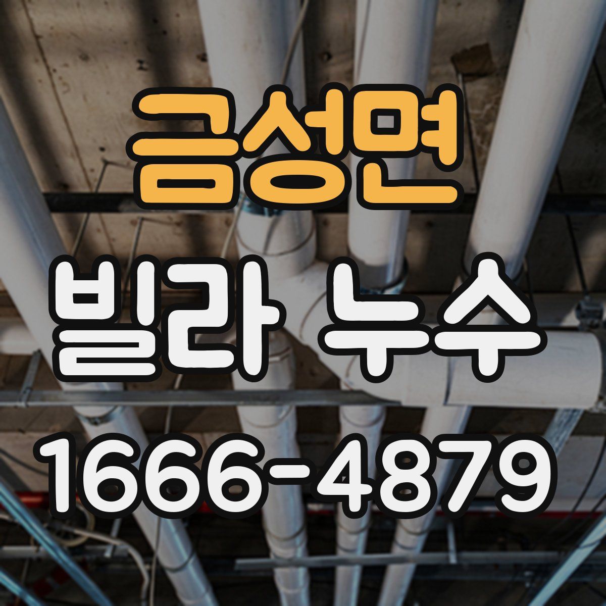 금성면 빌라 누수