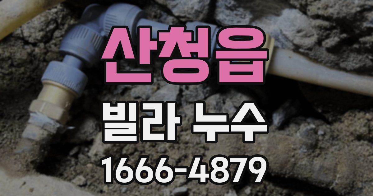 산청읍 빌라 누수