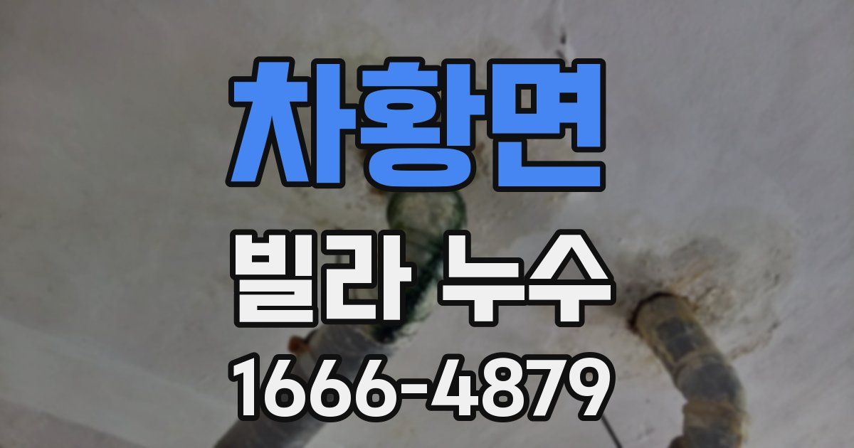 차황면 빌라 누수