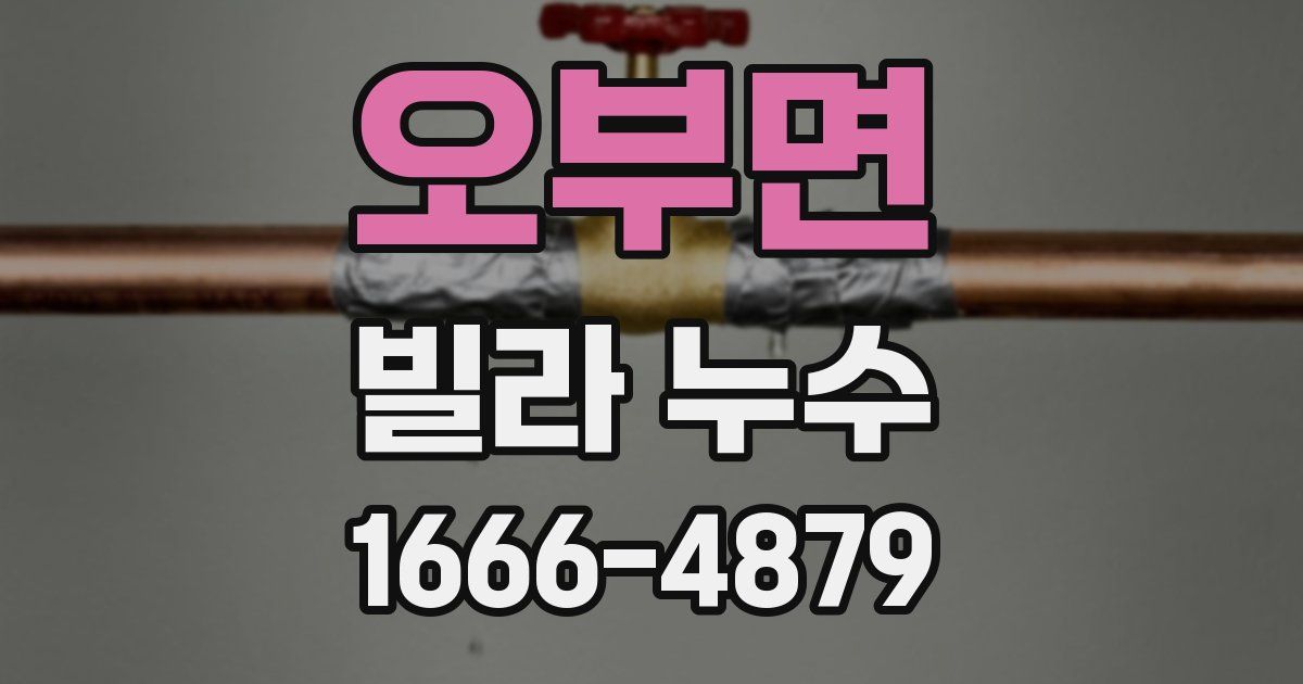 오부면 빌라 누수