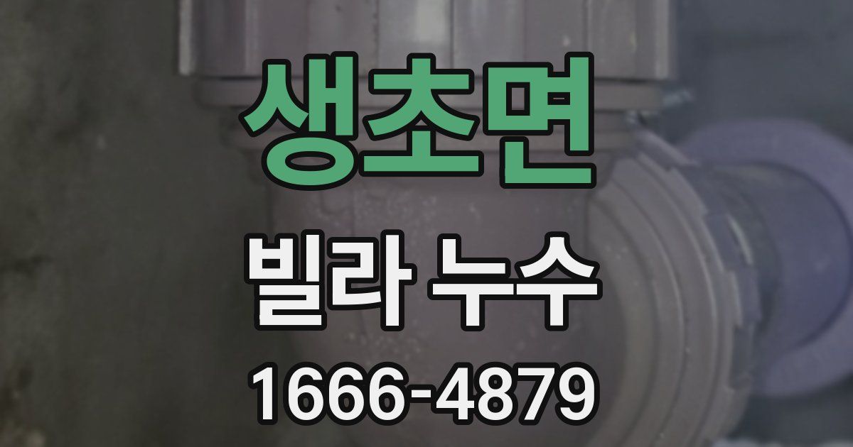 생초면 빌라 누수