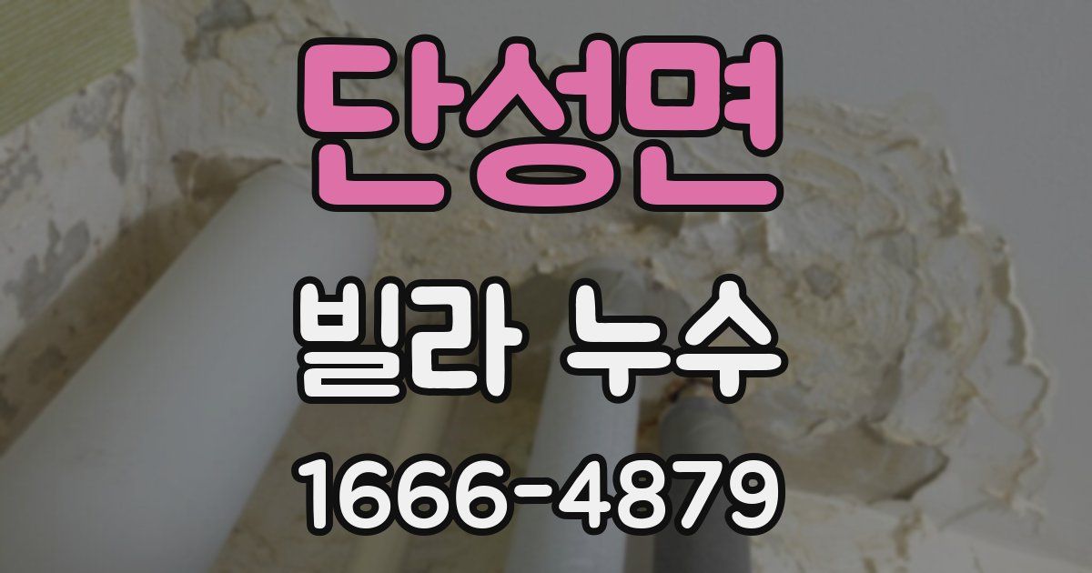 단성면 빌라 누수