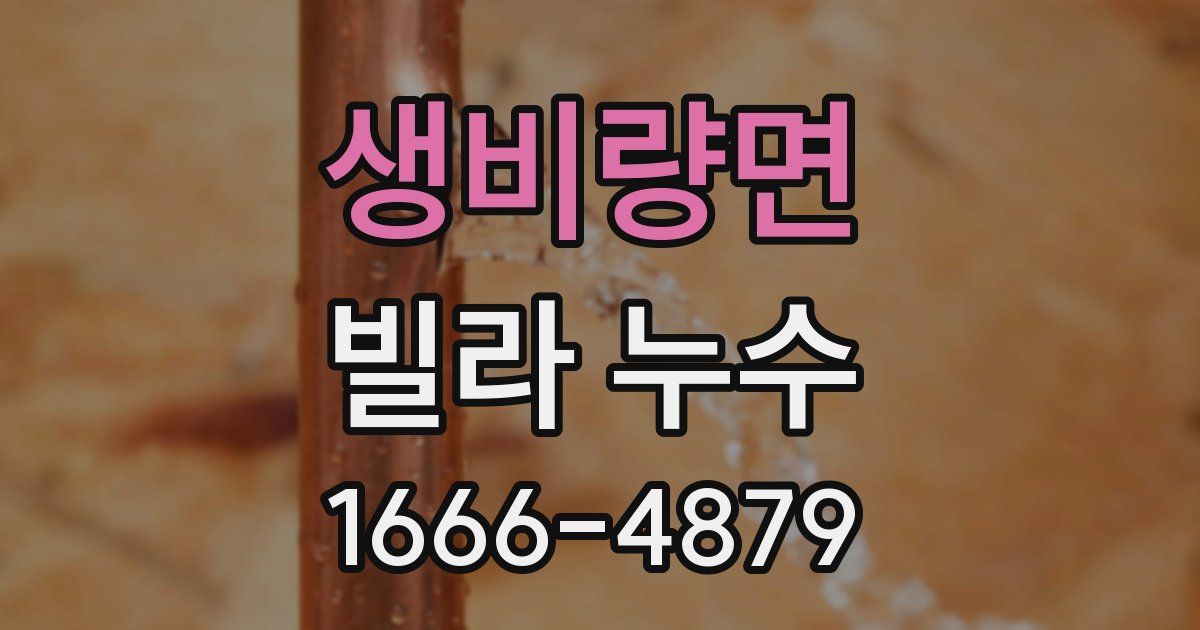 생비량면 빌라 누수