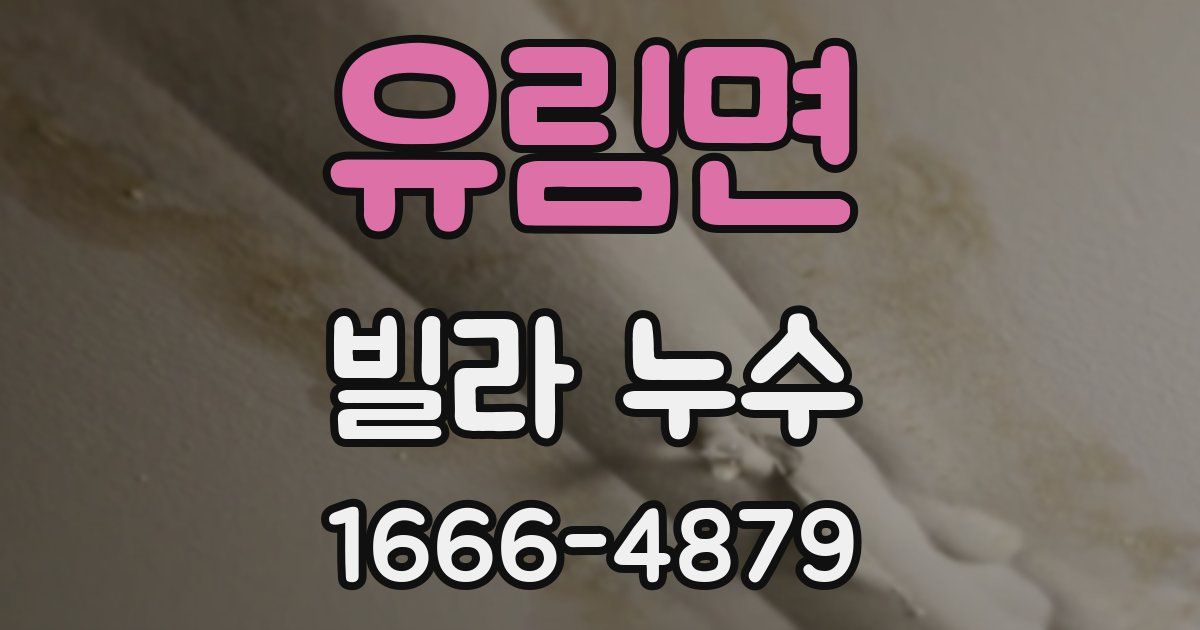 유림면 빌라 누수