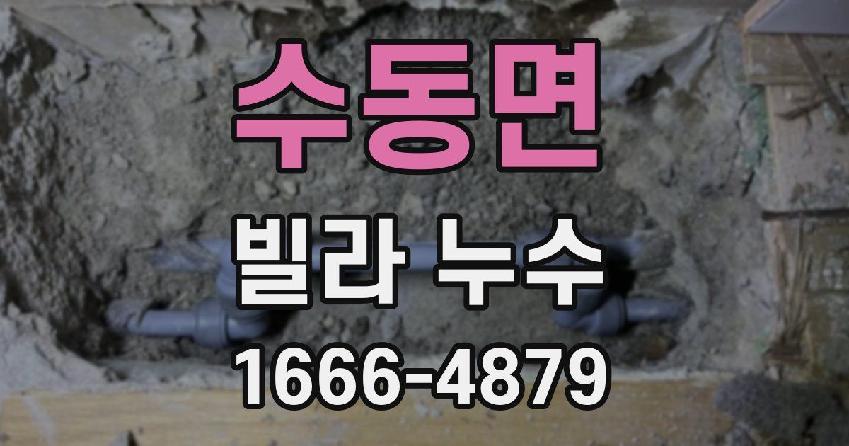 수동면 빌라 누수