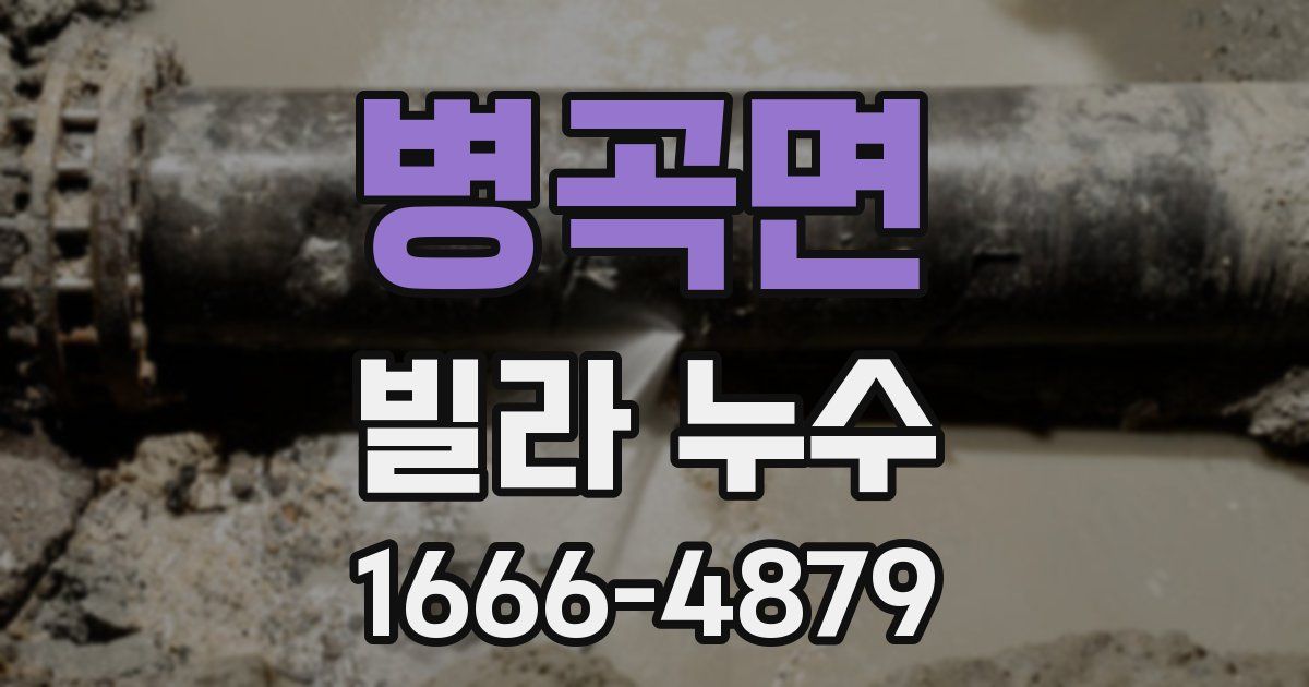 병곡면 빌라 누수