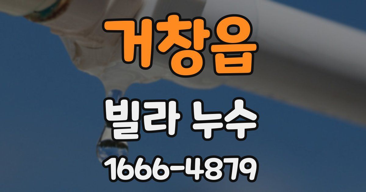 거창읍 빌라 누수