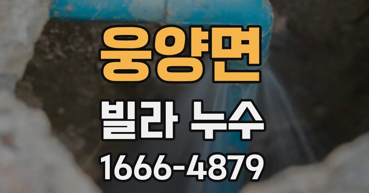 웅양면 빌라 누수