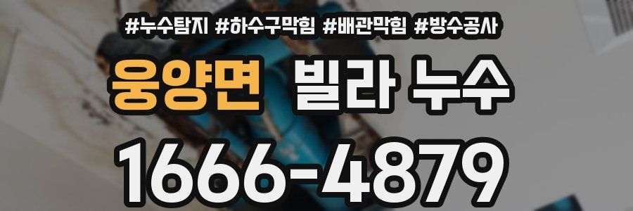 웅양면 빌라 누수