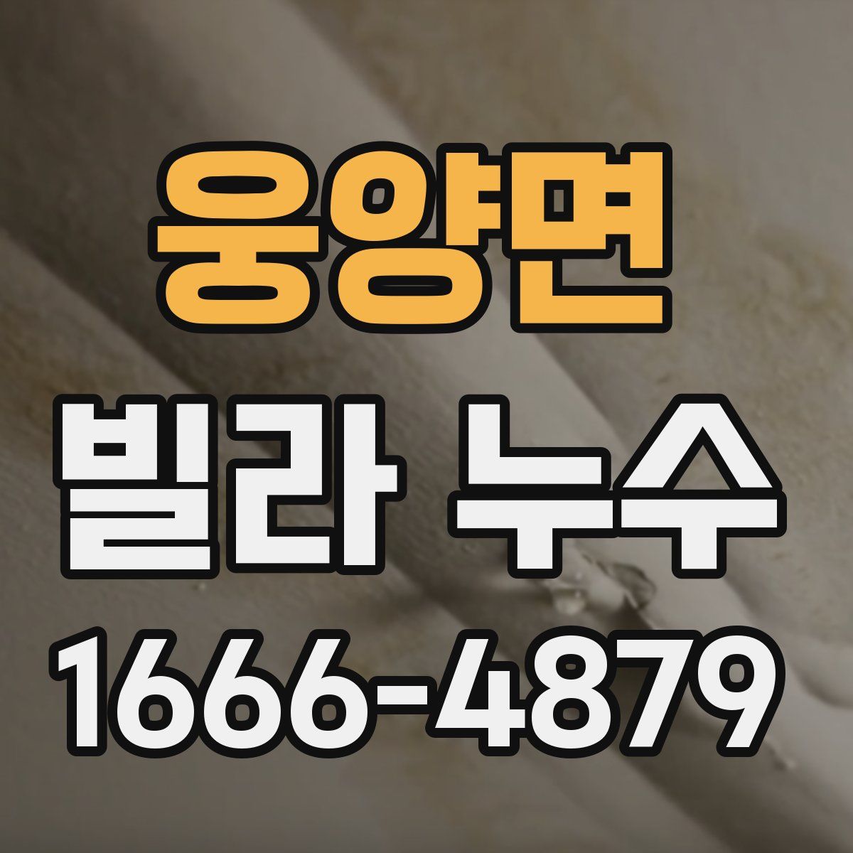 웅양면 빌라 누수