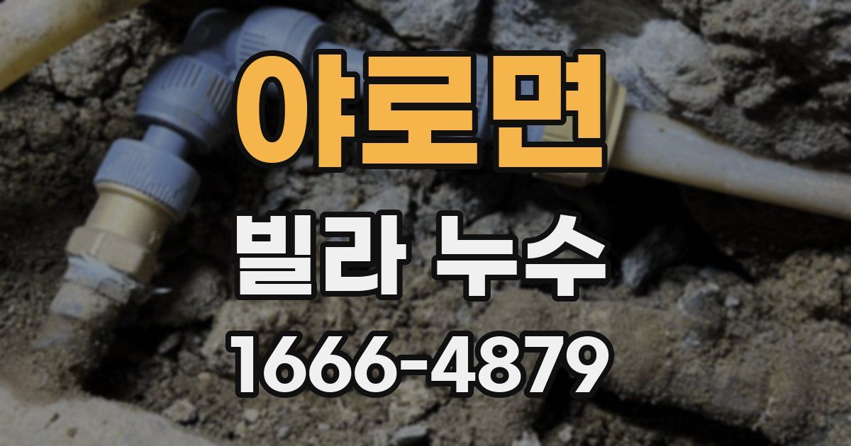 야로면 빌라 누수