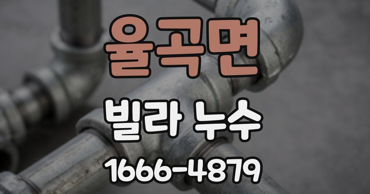 율곡면 빌라 누수