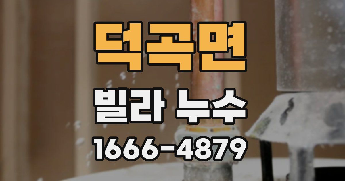 덕곡면 빌라 누수