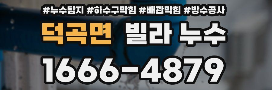 덕곡면 빌라 누수