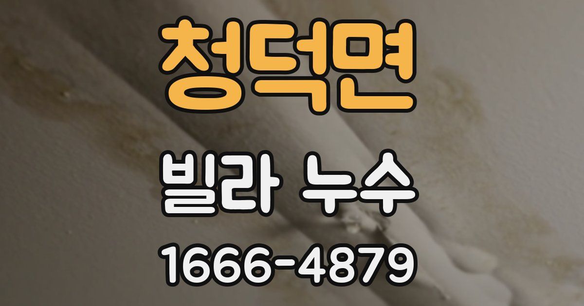 청덕면 빌라 누수