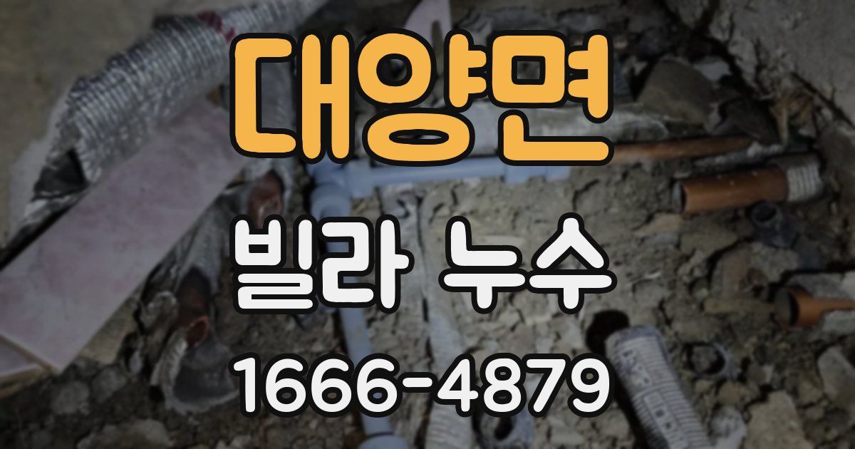 대양면 빌라 누수