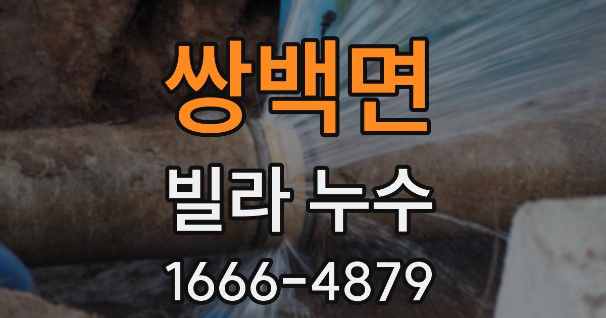쌍백면 빌라 누수