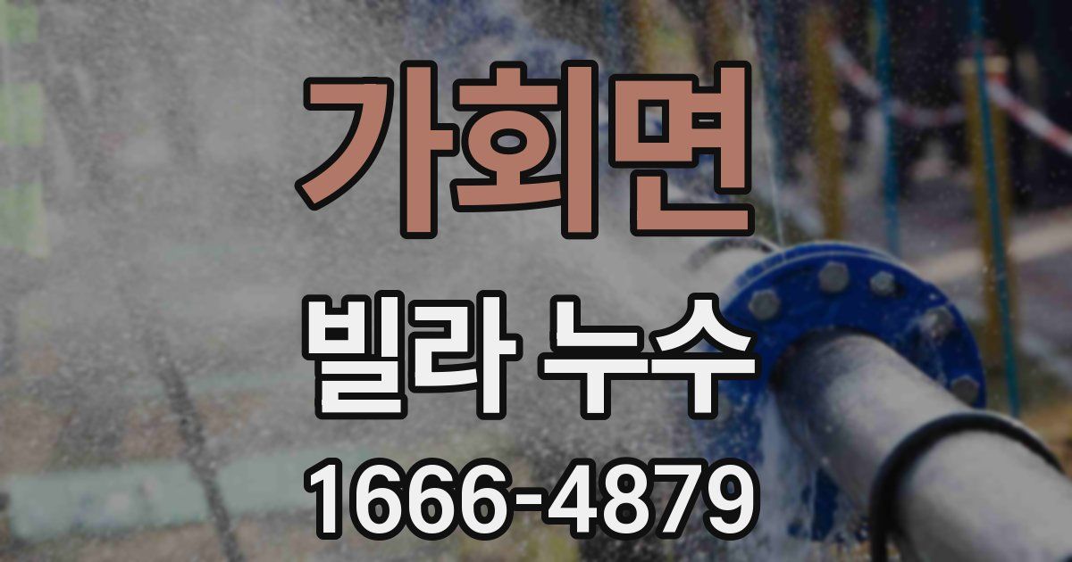 가회면 빌라 누수