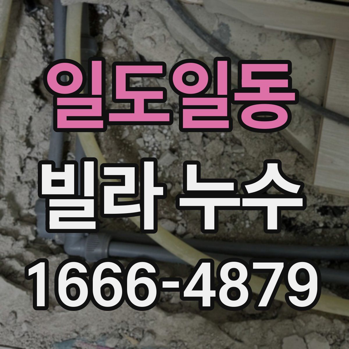 일도일동 빌라 누수