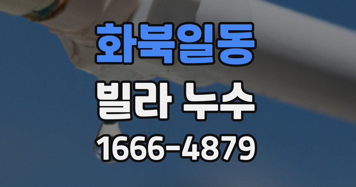 화북일동 빌라 누수